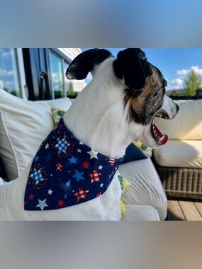 Stars and Fireworks Bandana - See Size Chart in Photos